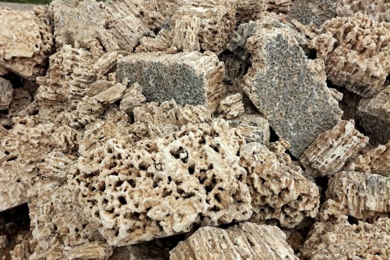 Меотис фр. 100-500 мм.