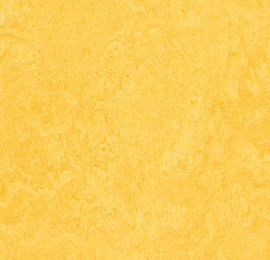 Линолеум Marmoleum Real 3251 Forbo