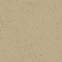 Линолеум Forbo Marmoleum Solid Concrete 3728/372835 Kaolin